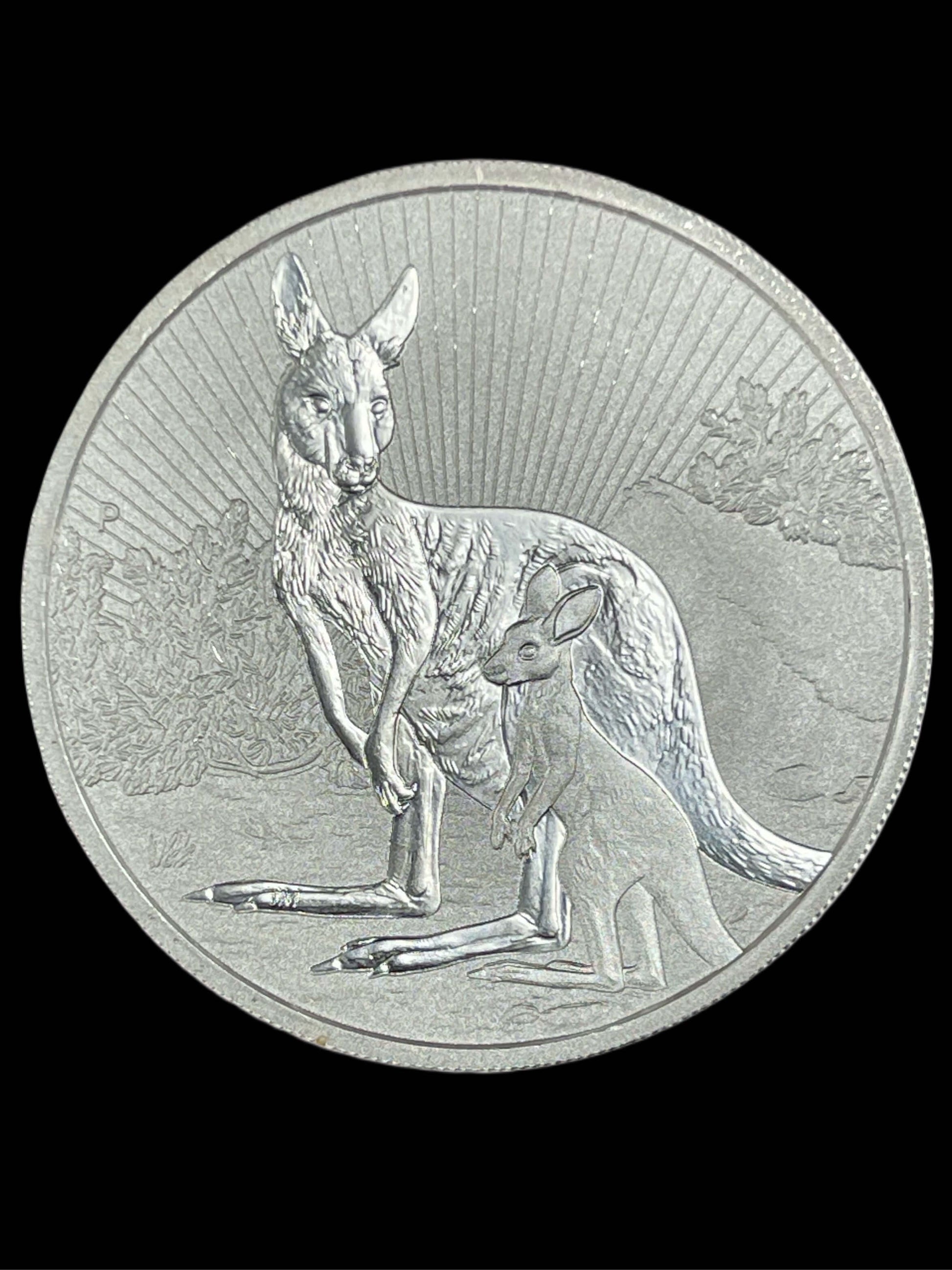 2023 2 oz Australian Next Generation Kangaroo Silver Coin