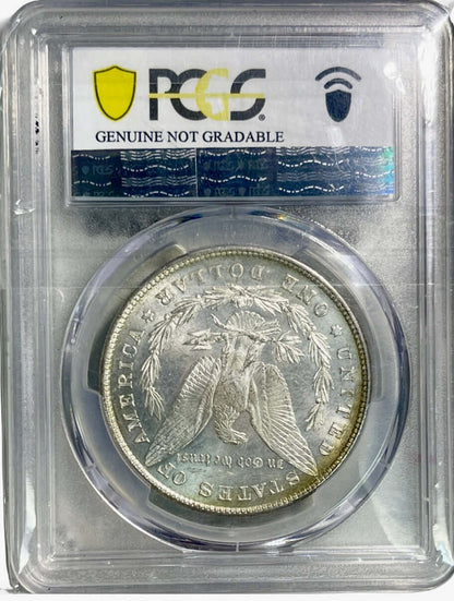 1880-CC Carson City S$1 Morgan Silver Dollar PCGS MS63 Graded - Gold Xchange